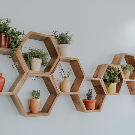 Le Cactus Hotel Χα Λονγκ Εξωτερικό φωτογραφία